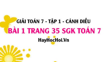 Giải bài 1 trang 35 Toán 7 Tập 1 SGK Cánh Diều